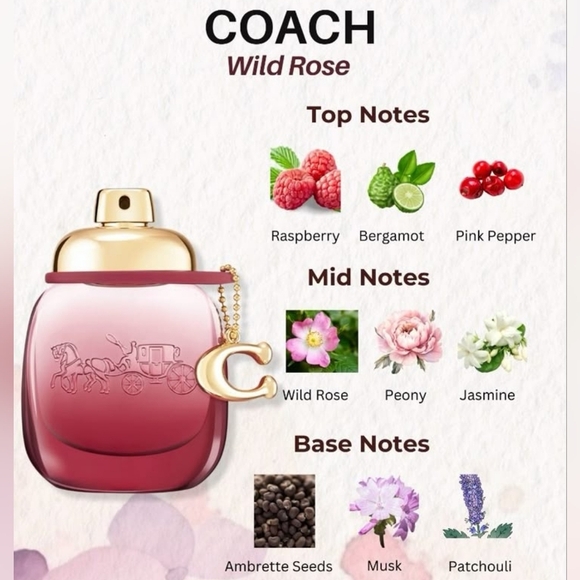 Freshie-Coach-Wild Rose-Air Freshener-MANY FRAGRANCES AVAILABLE!! - Picture 4 of 6